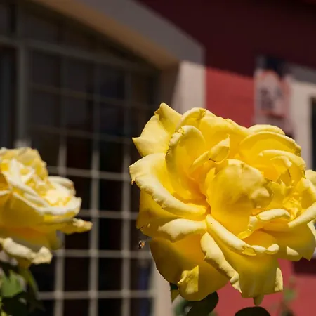 Rinconada Country house *