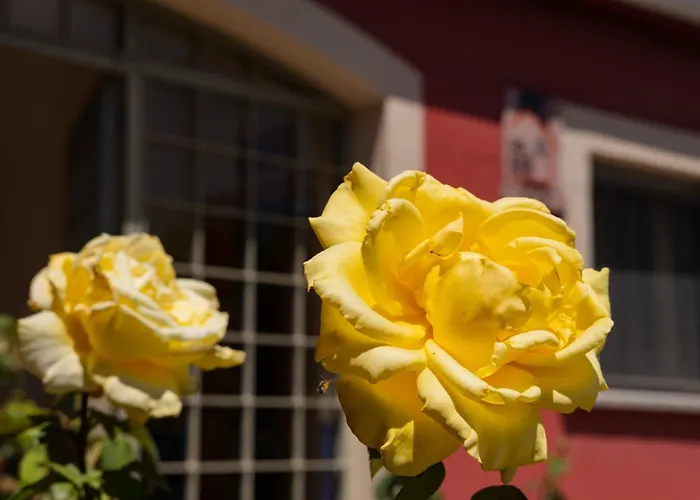 Rinconada منزل ريفي *